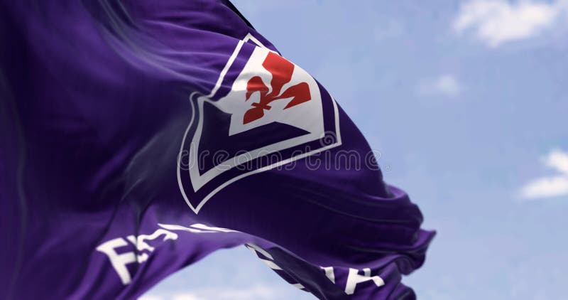 ACF Fiorentina, Fiorentina Pinned Flag from Corners, Isolated with  Different Waving Variations, 3D Rendering 24797624 PNG