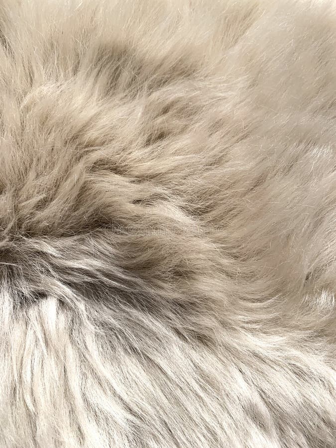1,040 Fluffy Fake Fur Coat Background Stock Photos - Free & Royalty ...
