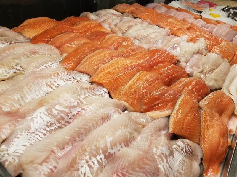 Fish counter stock image. Image of product, fresh, fishing 144664745