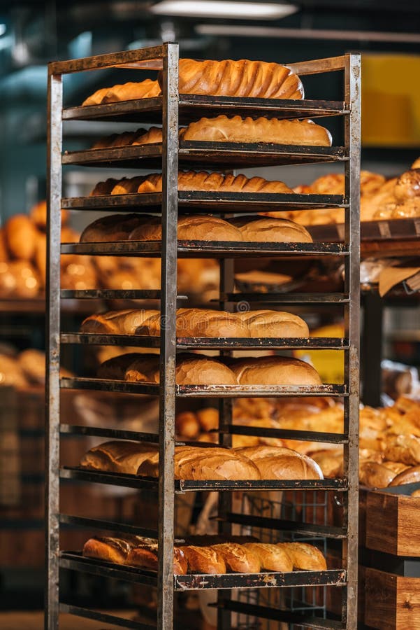 Close Up View of Freshly Baked Bakery Stock Image Image of appetite