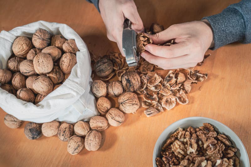 Hands With A Nuts In Shell On The Nuts Background Stock Image - Image