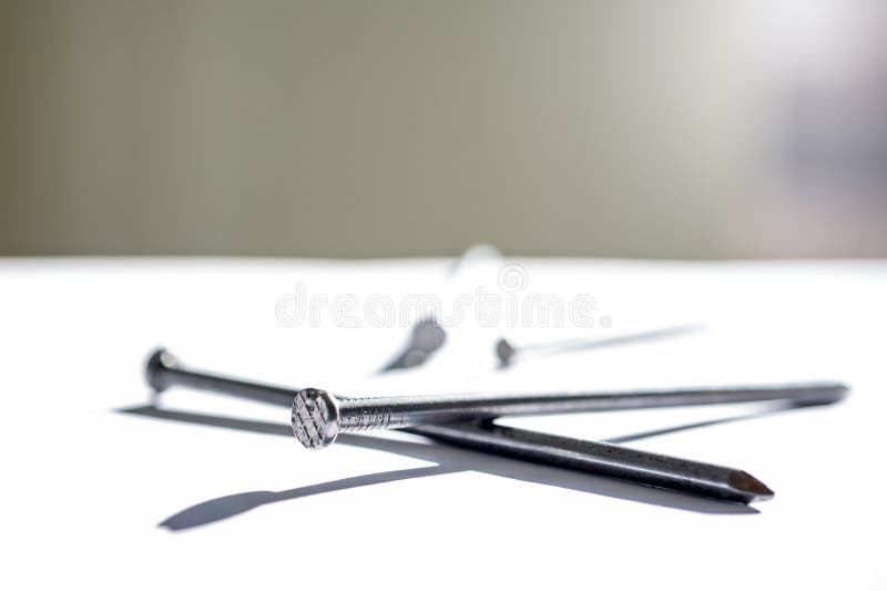 Close Up View of the Nails on the White Background. Nails are Typically