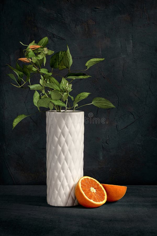 Close up view on ornamental plants white modern vase against textured concrete wall. Dutch still life with modern decoration. stock image Close up view on ornamental plants white modern vase against textured concrete wall. Dutch still life with modern decoration. stock image