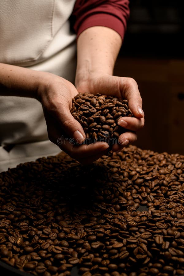 Close-up view of woman& x27;s hands holding roasted coffee beans over sack full of coffee beans