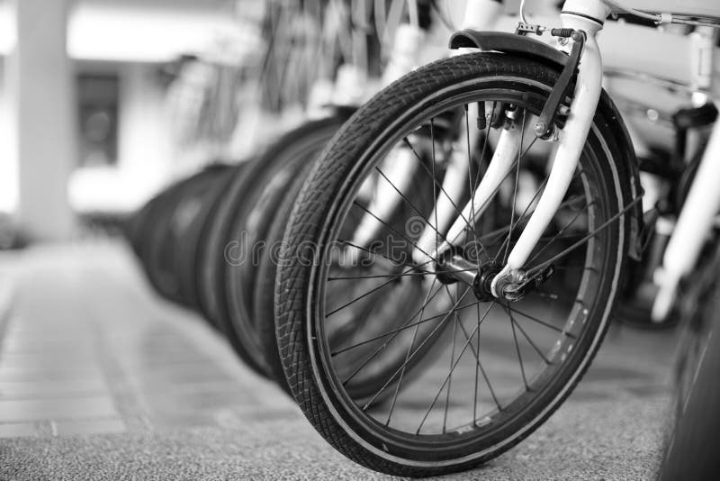 Bicycles in the shop stock photo. Image of store, bicycling - 142833796