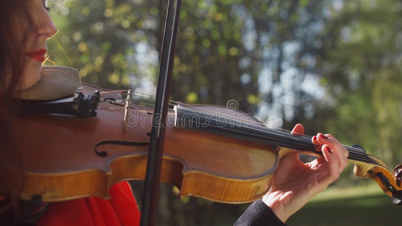 Close-up of a violin soundboard. The strings and the bow.