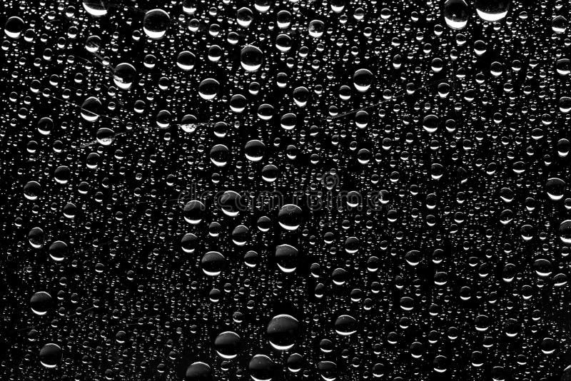 Close Up Of Water Drops On Black Background Stock Photo Image Of