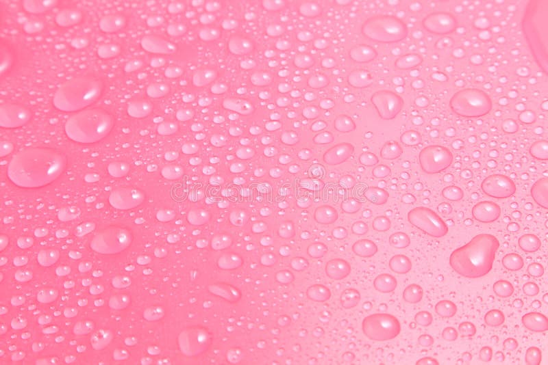 Close Up Water Drops On Pink Background Stock Image Image Of Abstract Drop Close Up Water Drops On Pink Background Stock Image Image Of Abstract Drop
