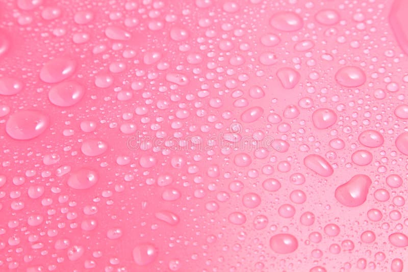 Close Up Water Drops On Pink Background Stock Image Image Of Abstract Drop