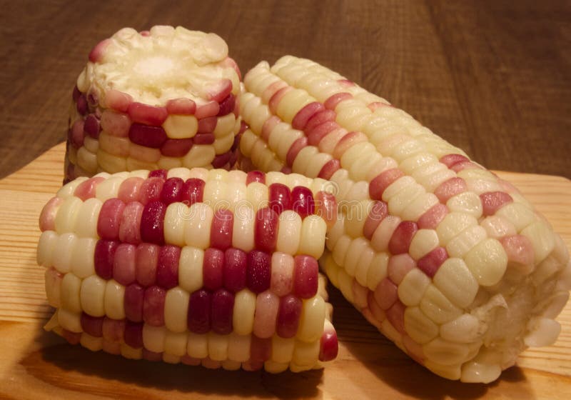 Healthy and Colorful Vegetable Waxy Corns Stock Photo Image of corn