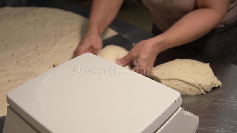 Baker Dough Scales Demo Video 