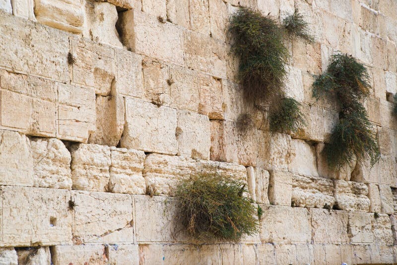 Close up of Western wall. Jerusalem. Israel. royalty free stock photos Close up of Western wall. Jerusalem. Israel. royalty free stock photos
