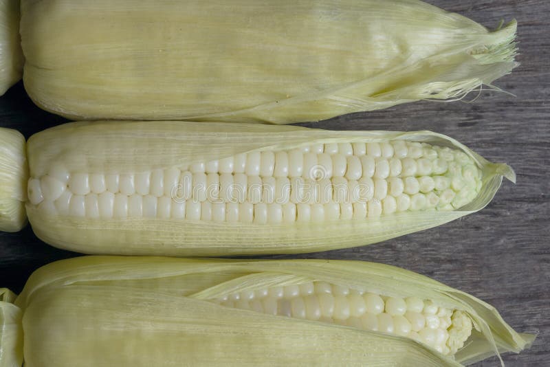 Close up of white corn on wood stock photography
