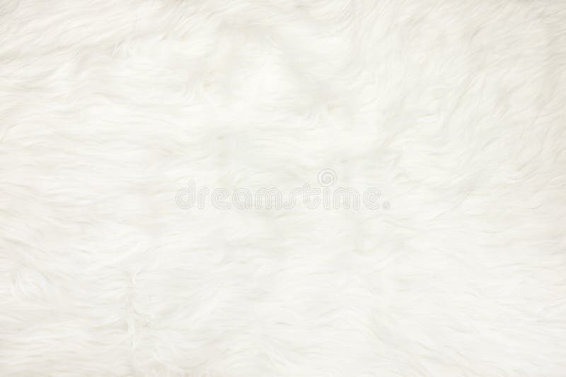 White Fur Texture Background Stock Photo, Picture and Royalty Free Image.  Image 44848907.
