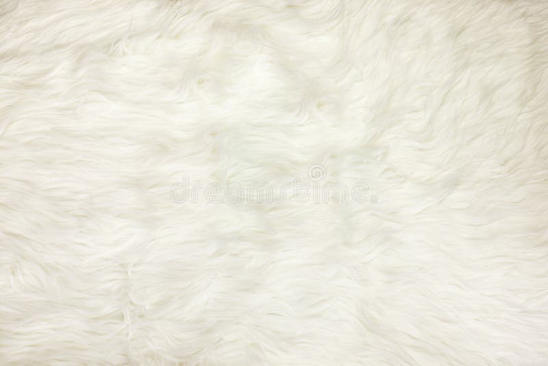 A seamless soft white fur texture