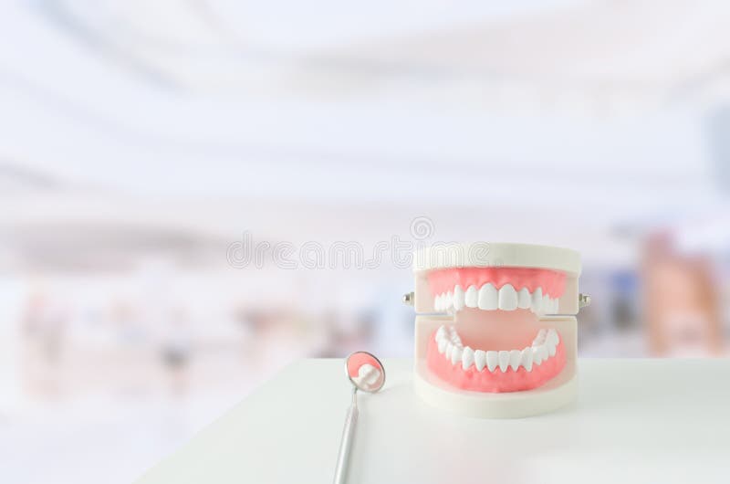 Close Up Of White Teeth Model With Red Gum And Dental Mirror On Stock