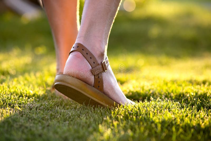 Close Up of Woman Feet in Summer Sandals Shoes Walking on Spring Lawn ...