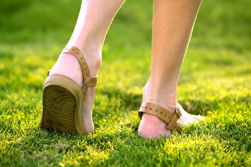 Close Up of Woman Feet in Summer Sandals Shoes Walking on Spring Lawn ...