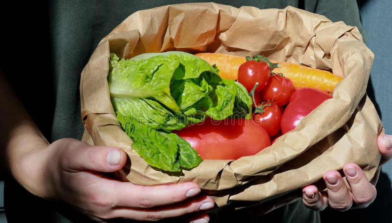 Close up of woman holding a paper bag full with vegetables. Organic and zero waste concept stock image Close up of woman holding a paper bag full with vegetables. Organic and zero waste concept stock image