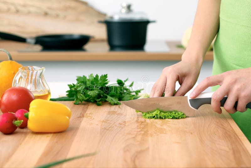 Close Up of Woman`s Hands Cooking in the Kitchen. Housewife Slicing ...