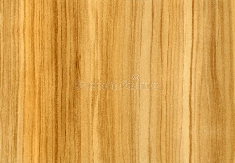 Close-up wooden Olive texture
