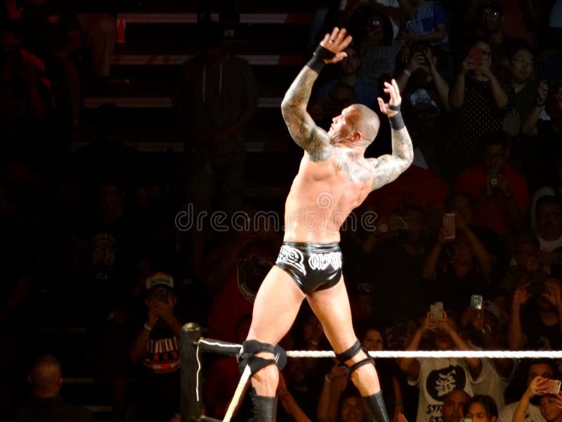 Randy Orton Pose - Randy Orton - T-Shirt | TeePublic