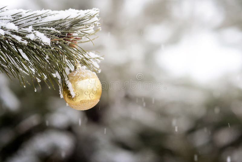 Close up of yellow christmas ball on a fir tree branch