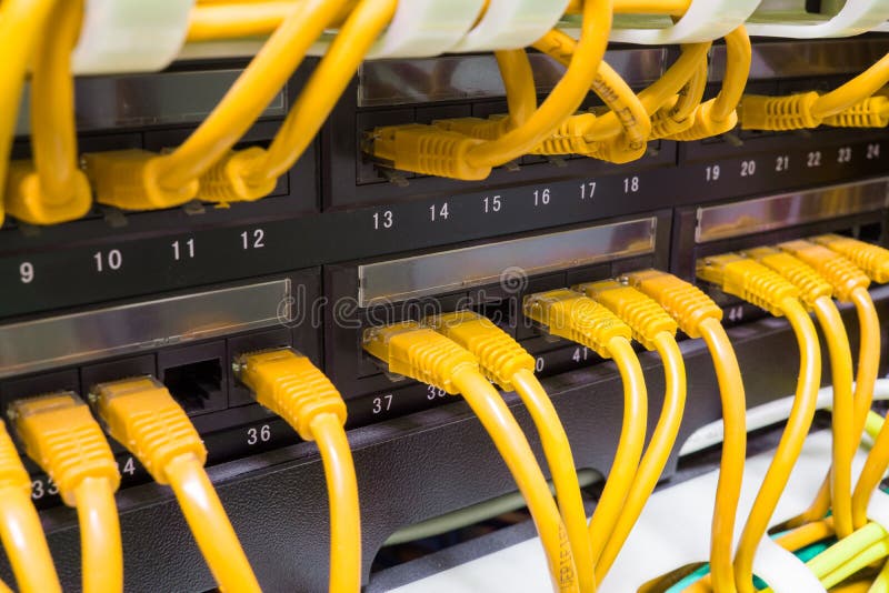 Close up of yellow network cables connected to switch royalty free stock image