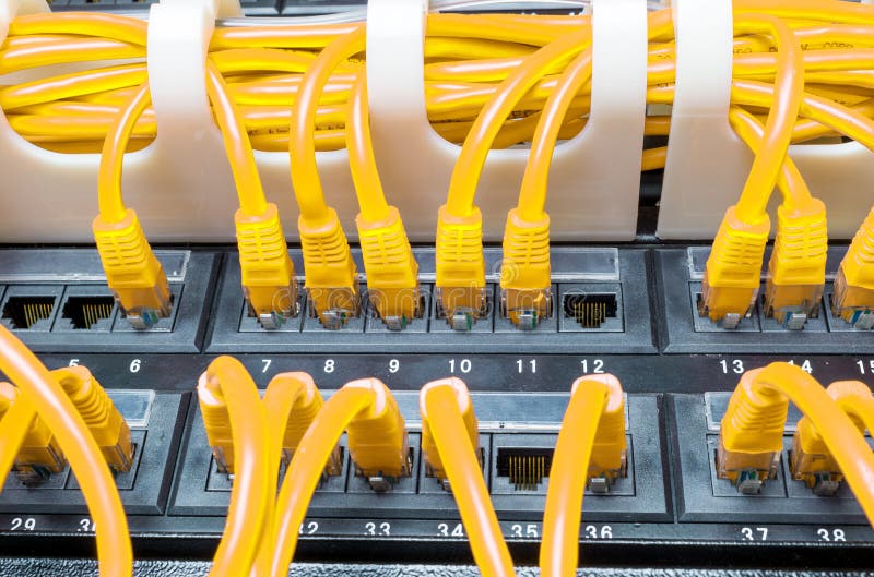 Close up of yellow network cables connected to switch royalty free stock photo
