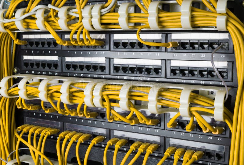 Close up of yellow network cables connected to switch stock photo