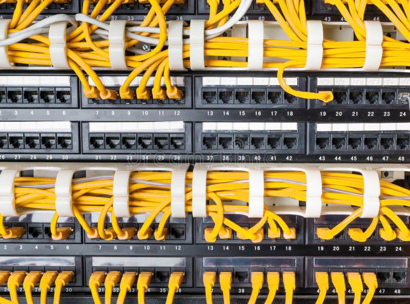 Close up of yellow network cables connected to switch stock images