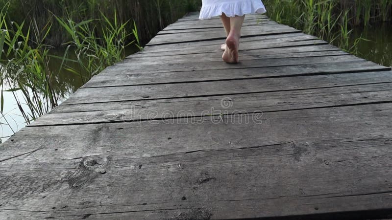 Close-up of Barefoot Woman from Behind is Walking on Wooden Trail To ...