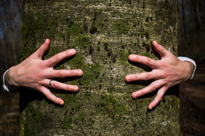 Close Up Of Young Female Hands Hugging A Huge Tree Stock Photo Image