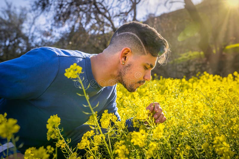 Young Man Sitting in a Field of Yellow Wildflowers, Plays His Guitar ...