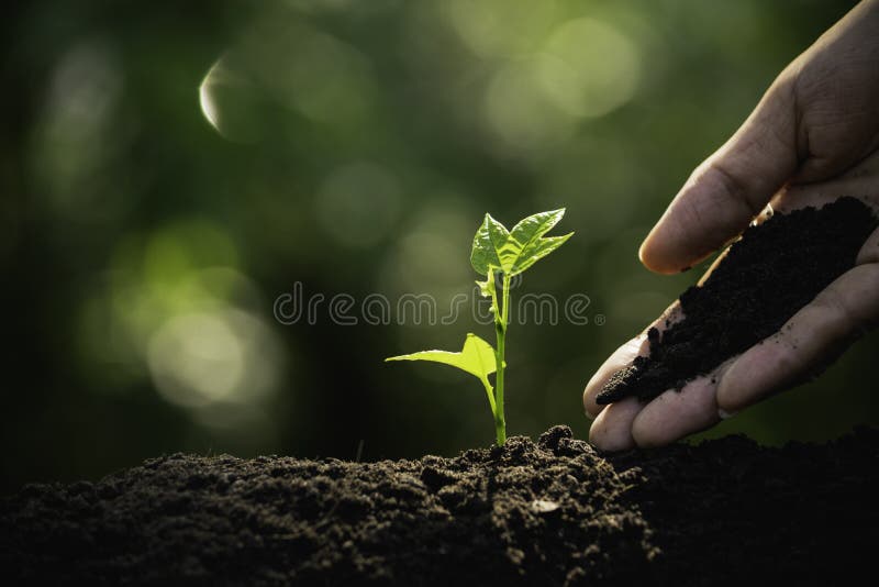 400 Fake Soil Stock Photos - Free & Royalty-Free Stock Photos from  Dreamstime