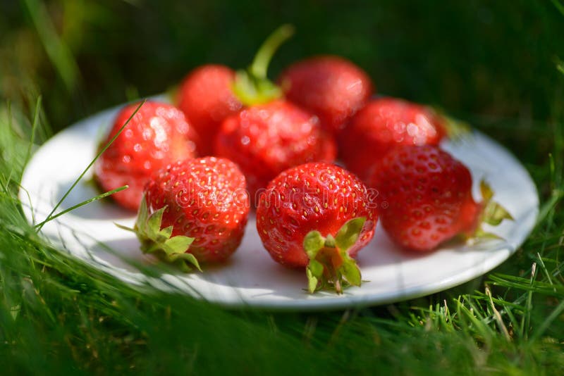 Close-upfoto van rode aardbeien op de witte plaat Foto op 45 graden wordt genomen die stock afbeeldingen Close-upfoto van rode aardbeien op de witte plaat Foto op 45 graden wordt genomen die stock afbeeldingen
