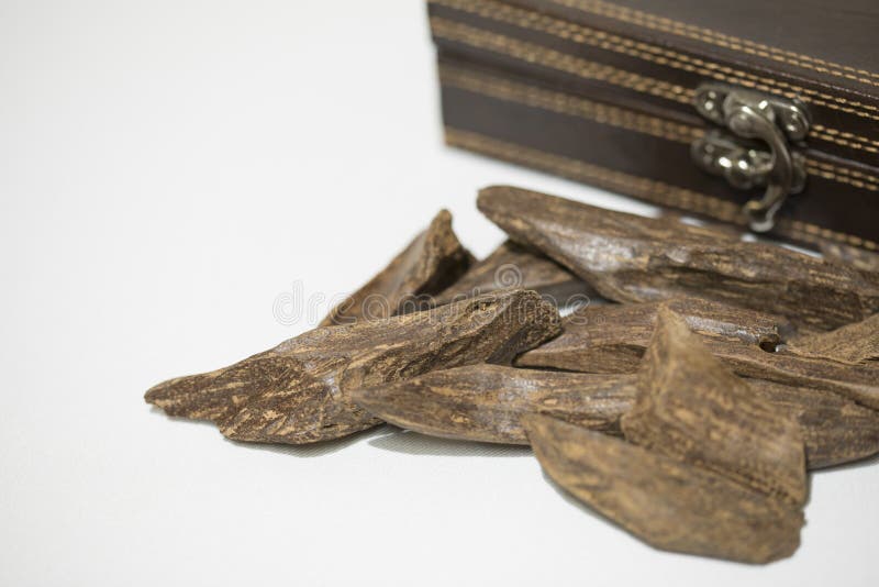 Close-upmening van Agar-agarhout: Oud, wierookspaanders, op een achtergrond worden geïsoleerd die stock foto's Close-upmening van Agar-agarhout: Oud, wierookspaanders, op een achtergrond worden geïsoleerd die stock foto's