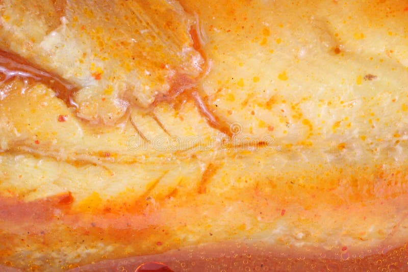 Close View of Canned Herring Stock Image Image of herring, healthy