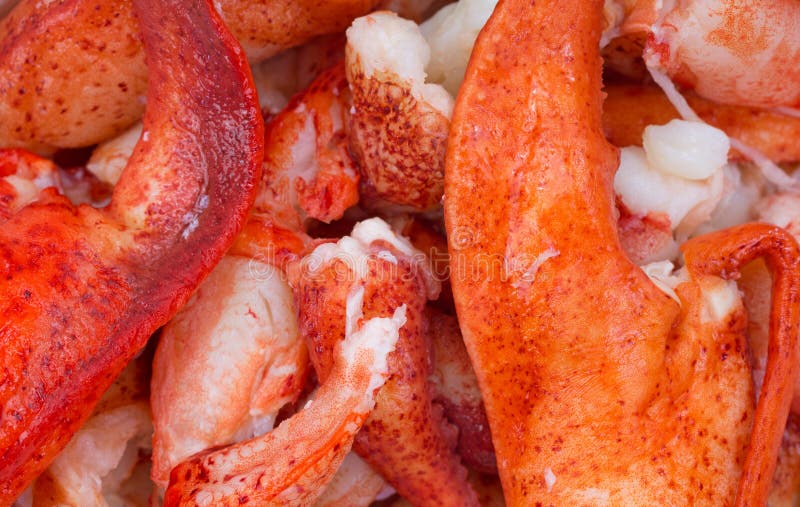A very close view of meat from cooked lobster. A very close view of meat from cooked lobster.