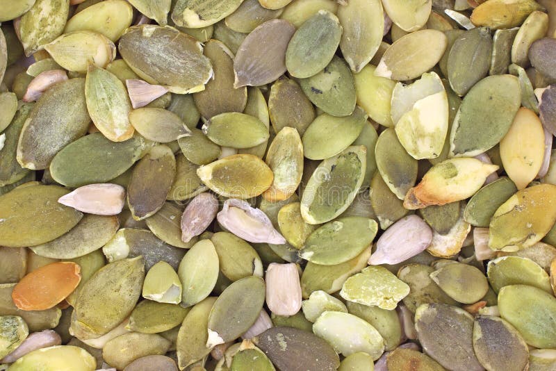 Close View of Raw Pumpkin Seeds Stock Image Image of seeds, tasty