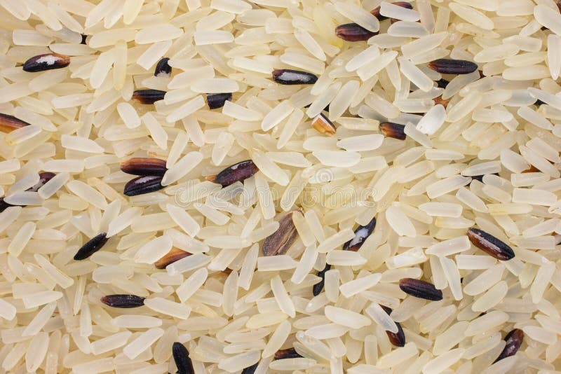 Close View of Wild and White Rice Dry Ingredients Stock Image - Image
