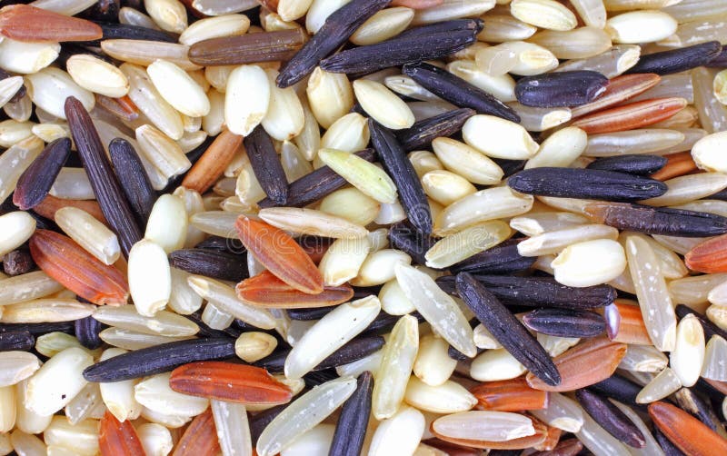 Close View Wild White Rice Mix Stock Image Image of white, time 16030253