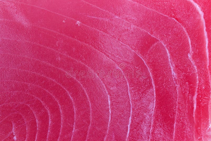 Close view yellowfin tuna steak royalty free stock images