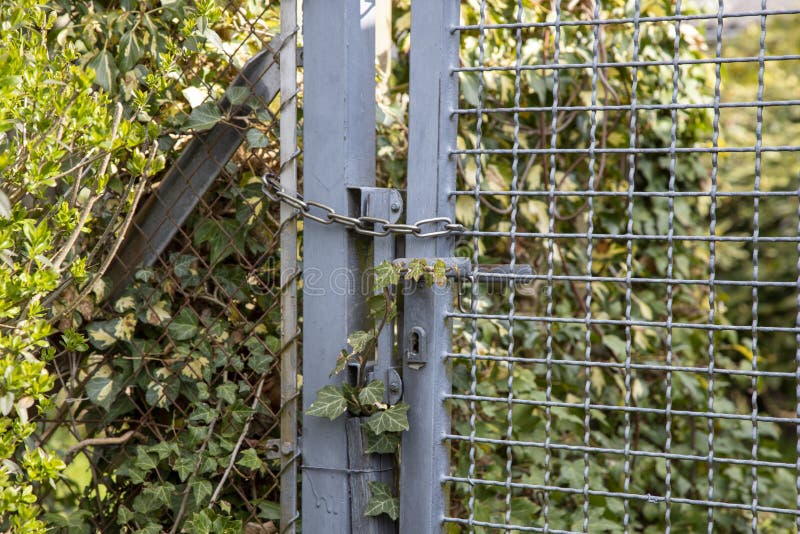 Closed Garden Door, Plans are Growing Over the Lock Stock Image Image of closed, grow 218456681