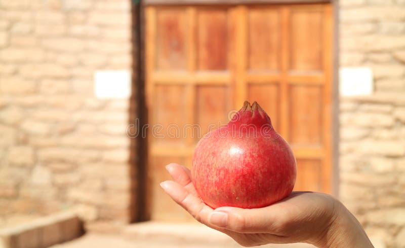 Closed up a fresh ripe Chilean pomegranate on woman hand stock images Closed up a fresh ripe Chilean pomegranate on woman hand stock images