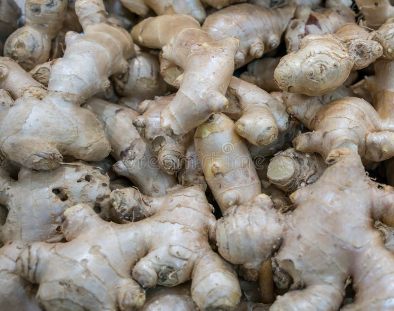 Ginger Export Stock Photos Free & RoyaltyFree Stock Photos from