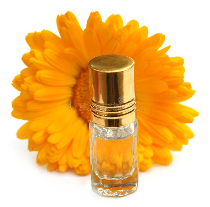 Closeup av calendulaen med extraktflaskan royaltyfri bild Closeup av calendulaen med extraktflaskan royaltyfri bild