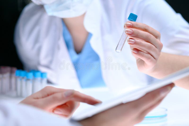 Closeup av laget för vetenskaplig forskning med den klara lösningen i laboratorium Den blonda kvinnliga kemisten rymmer provröret royaltyfri foto Closeup av laget för vetenskaplig forskning med den klara lösningen i laboratorium Den blonda kvinnliga kemisten rymmer provröret royaltyfri foto