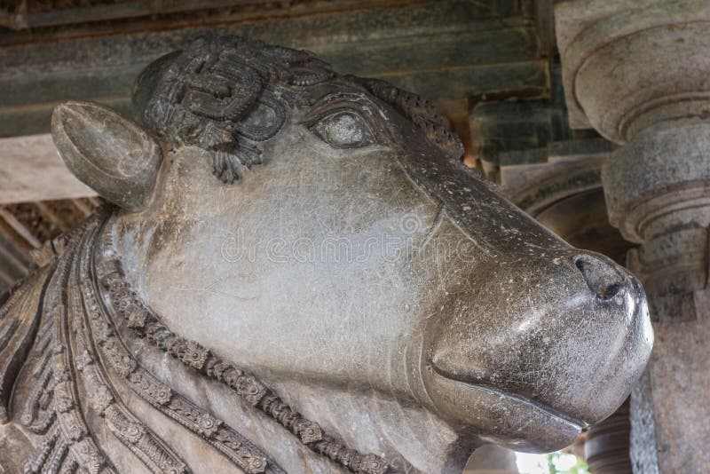 Closeup av Nandi Head på den Hoysaleswara templet, Halebidu, Karnatake, Indien fotografering för bildbyråer Closeup av Nandi Head på den Hoysaleswara templet, Halebidu, Karnatake, Indien fotografering för bildbyråer