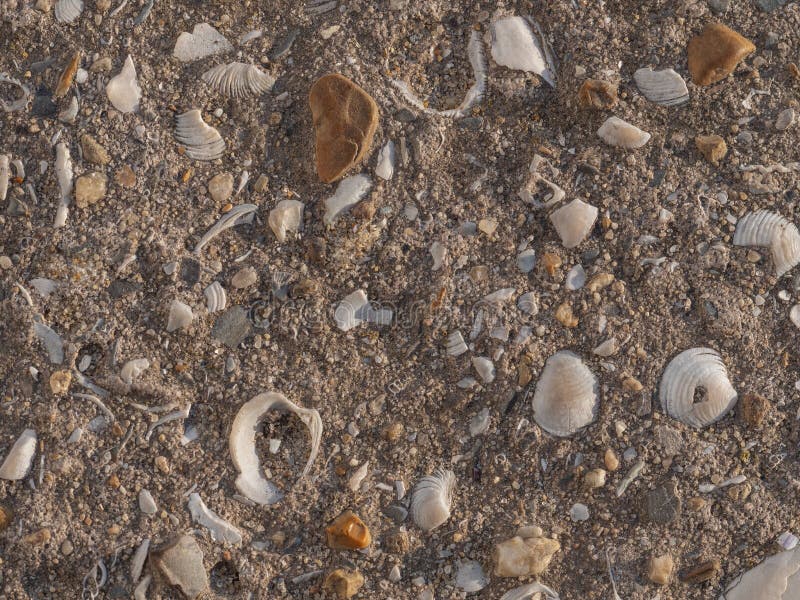 Closeup av riden ut konkret yttersida med sand, stenar och snäckskalfragment royaltyfri bild Closeup av riden ut konkret yttersida med sand, stenar och snäckskalfragment royaltyfri bild